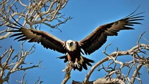 What does seeing a vulture mean spiritually