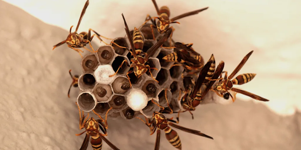 Wasps as Totem Animals Traits and Characteristics