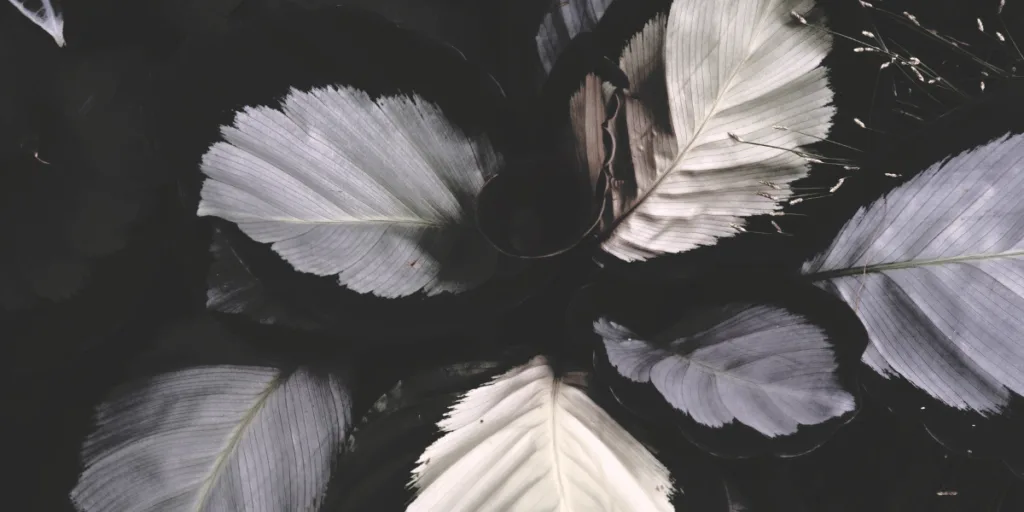 What Does the color grey mean spiritually