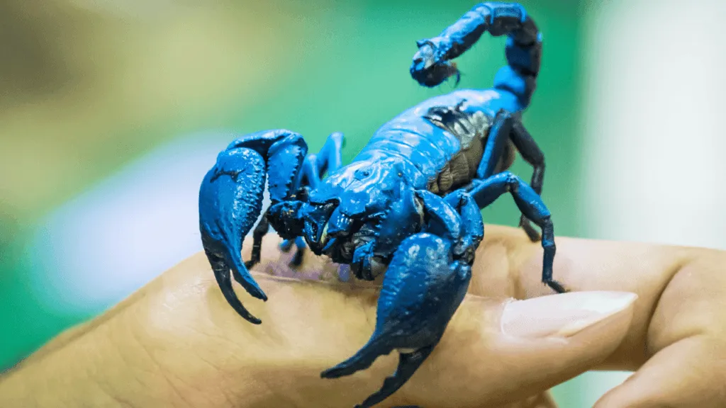 spiritual victory The Biblical meaning of killing a scorpion in dreams