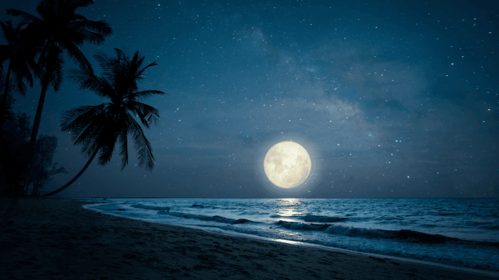 Full Moon Manifestation Rituals