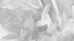 What does color White represent