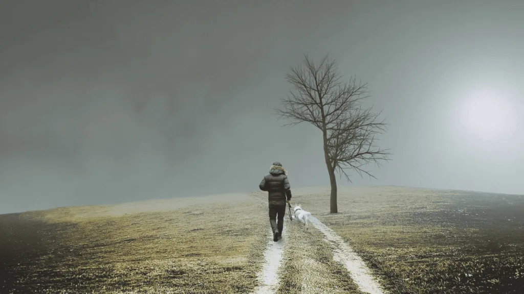 numerology life path number Decoding the Significance of Life Path 26/8