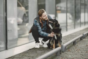 dog hit by car spiritual meaning