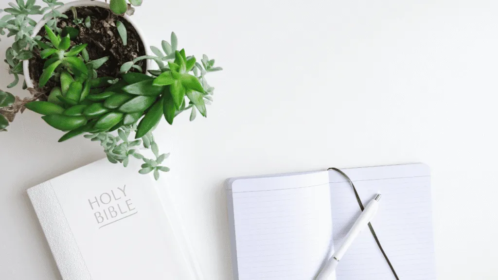 Bible Verses to Assist Your Reflection