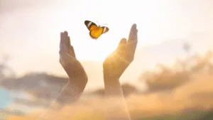 What Do Butterflies Mean Spiritually