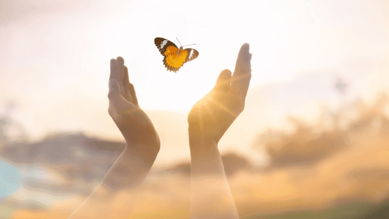 Spiritual Meaning of Butterflies Explained 1 What Do Butterflies Mean Spiritually