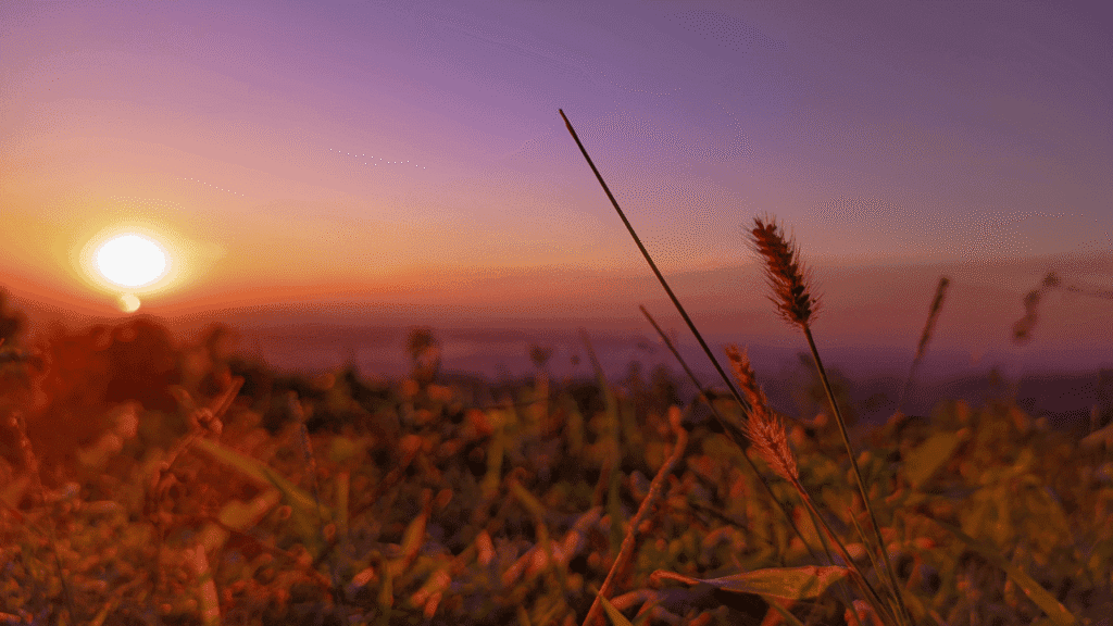 Understanding the Spiritual Meaning and Biblical Interpretation of Seeing Your Name Written in a Dream