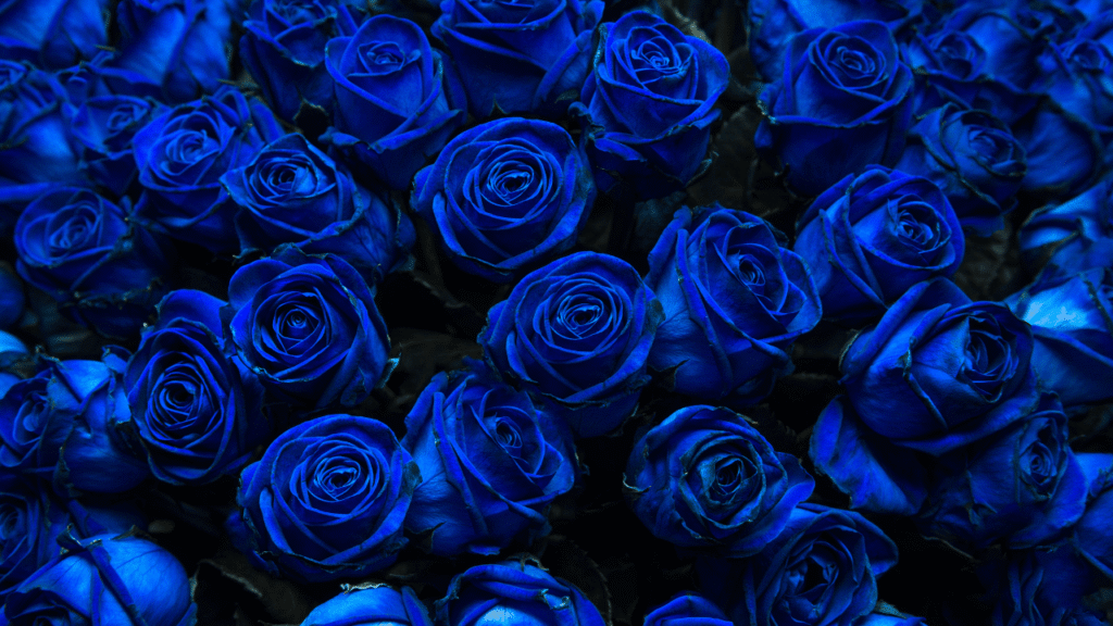 Decoding Bouquets: The Meaning of Numbers and Combinations