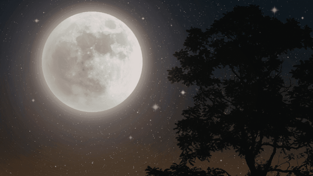 Full Moon Sleep Disturbances: Common Experiences