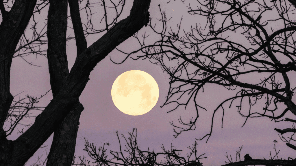 Practical Tips to Manage Sleepless Nights During a Full Moon