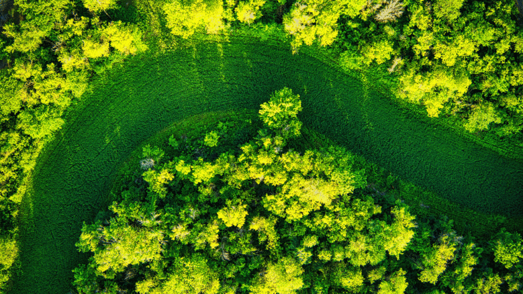 The Cultural and Associative Meanings of Green